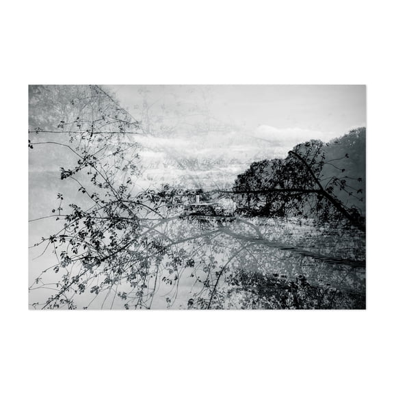Song by the River - Pillnitz Saxony Germany Photography Abstract Black and White Surrealism Nature Landscape Waterfall Botanical Unframed Wall Art Print 20 x 30 inches
