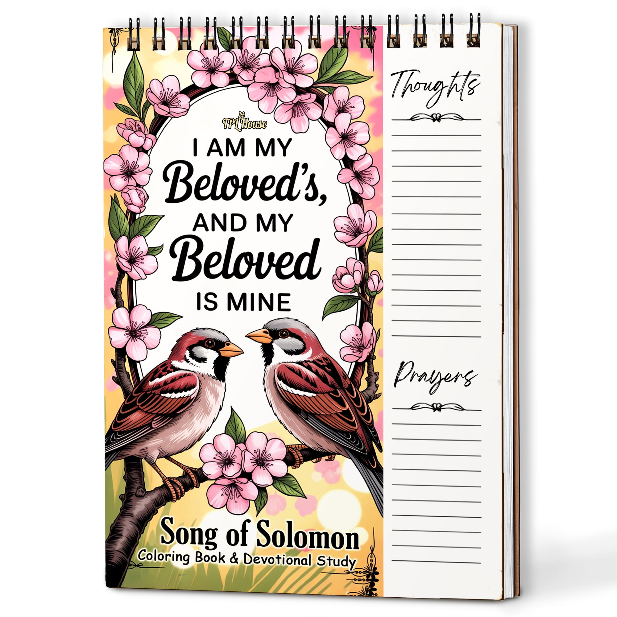 Song of Solomon Coloring Book for Adults, 30 Minimalist Scripture Art Pages with Reflection & Prayer Space, Spiral Bound, A4 or A5 Softcover or Wood Cover