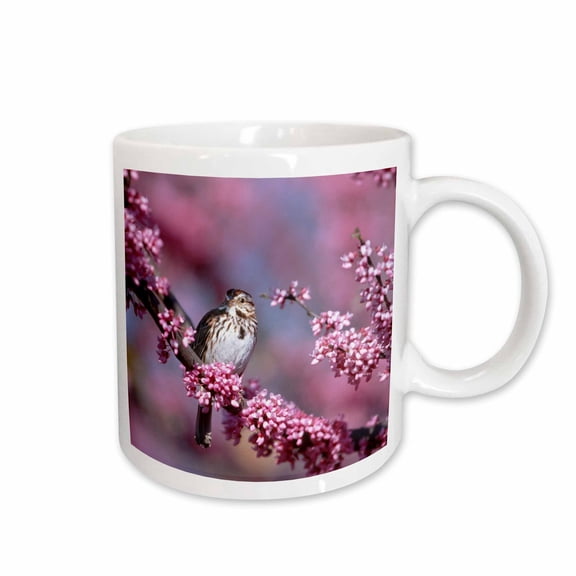 3drose, Song Sparrow in Eastern Redbud Tree, Marion, Il, 11oz Mug