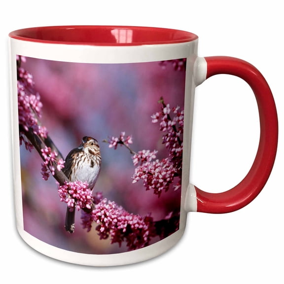 3drose, Song Sparrow in Eastern Redbud Tree, Marion, Il, 11oz Two-tone Red Mug