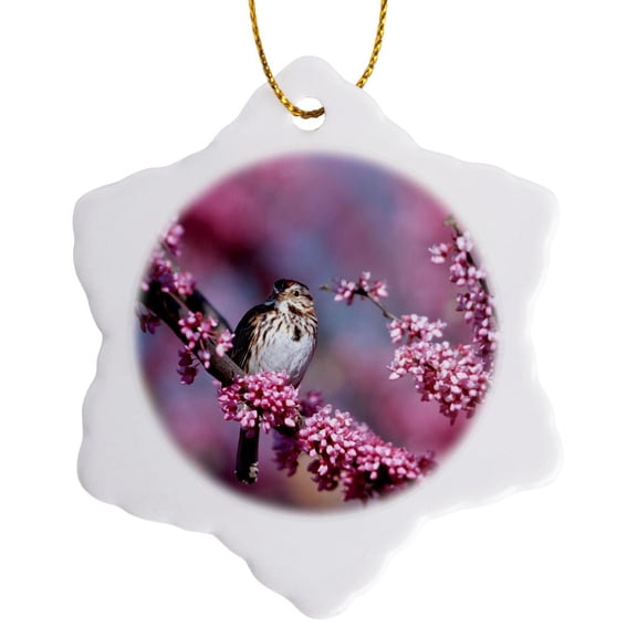3drose, Song Sparrow in Eastern Redbud Tree, Marion, Il, 3 inch Snowflake Porcelain Ornament