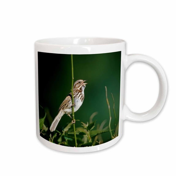 3drose, Song Sparrow, Male Singing to Secure His Territory, Illinois, 11oz Mug