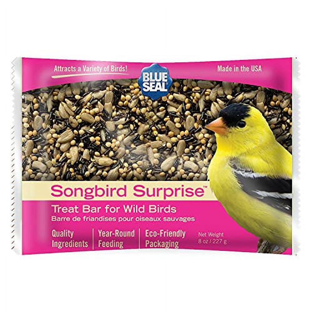 Song Suet Bars For Wild s No Mess Suet Feed, Food For Woodpeckers