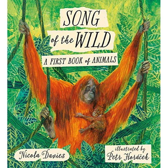 Pre-Owned Song of the Wild: A First Book of Animals (Hardcover) 0763691607 9780763691608