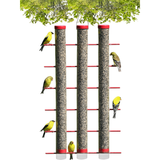 Installazione e gestione di mangiatoie per uccelli - LIPU - Sezione di Installazione e gestione di mangiatoie per uccelli - LIPU - Sezione di