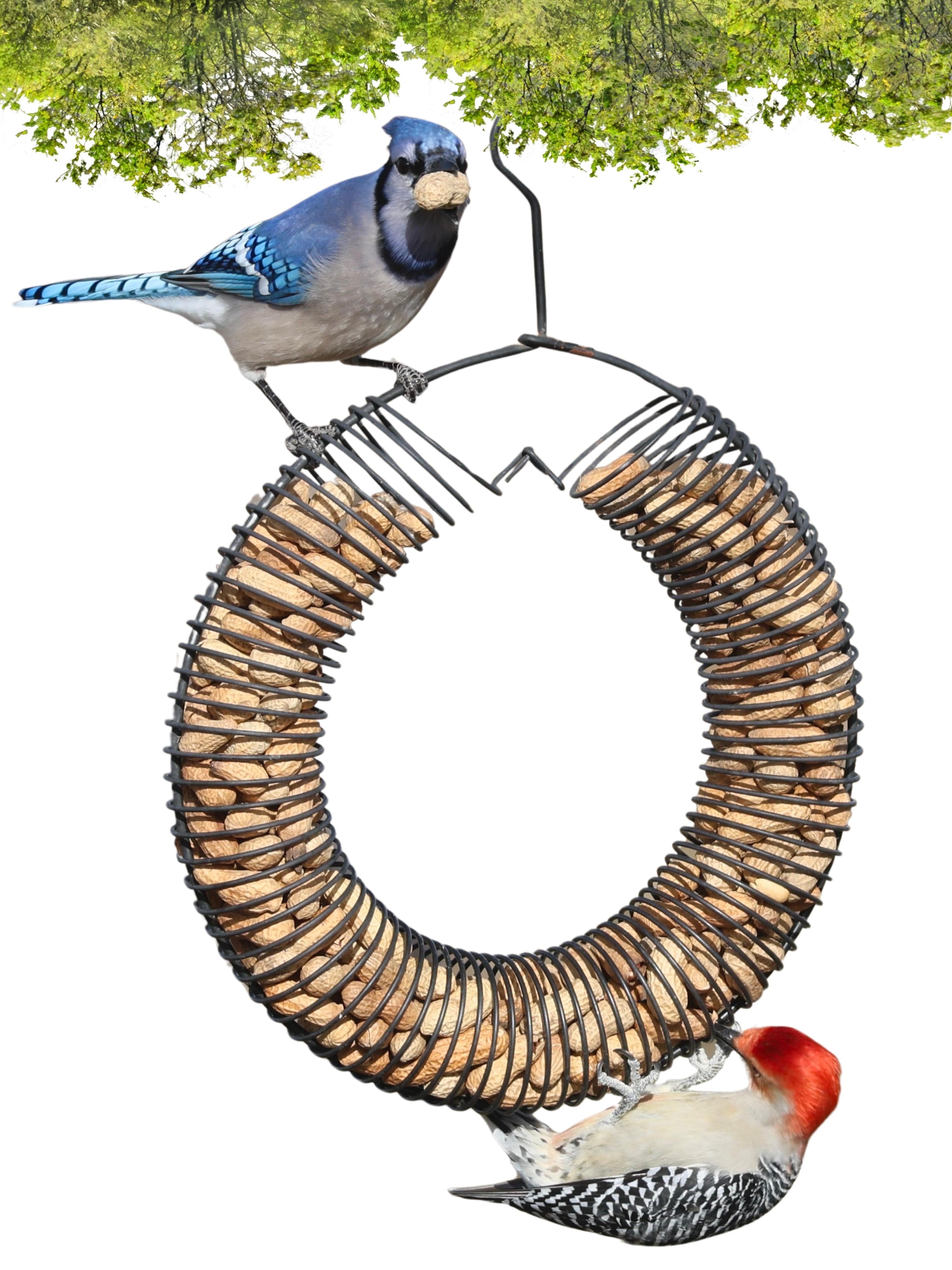 Songbird Essentials Bird Feeder Squirrel Feeder Whole Peanuts Wreath Black