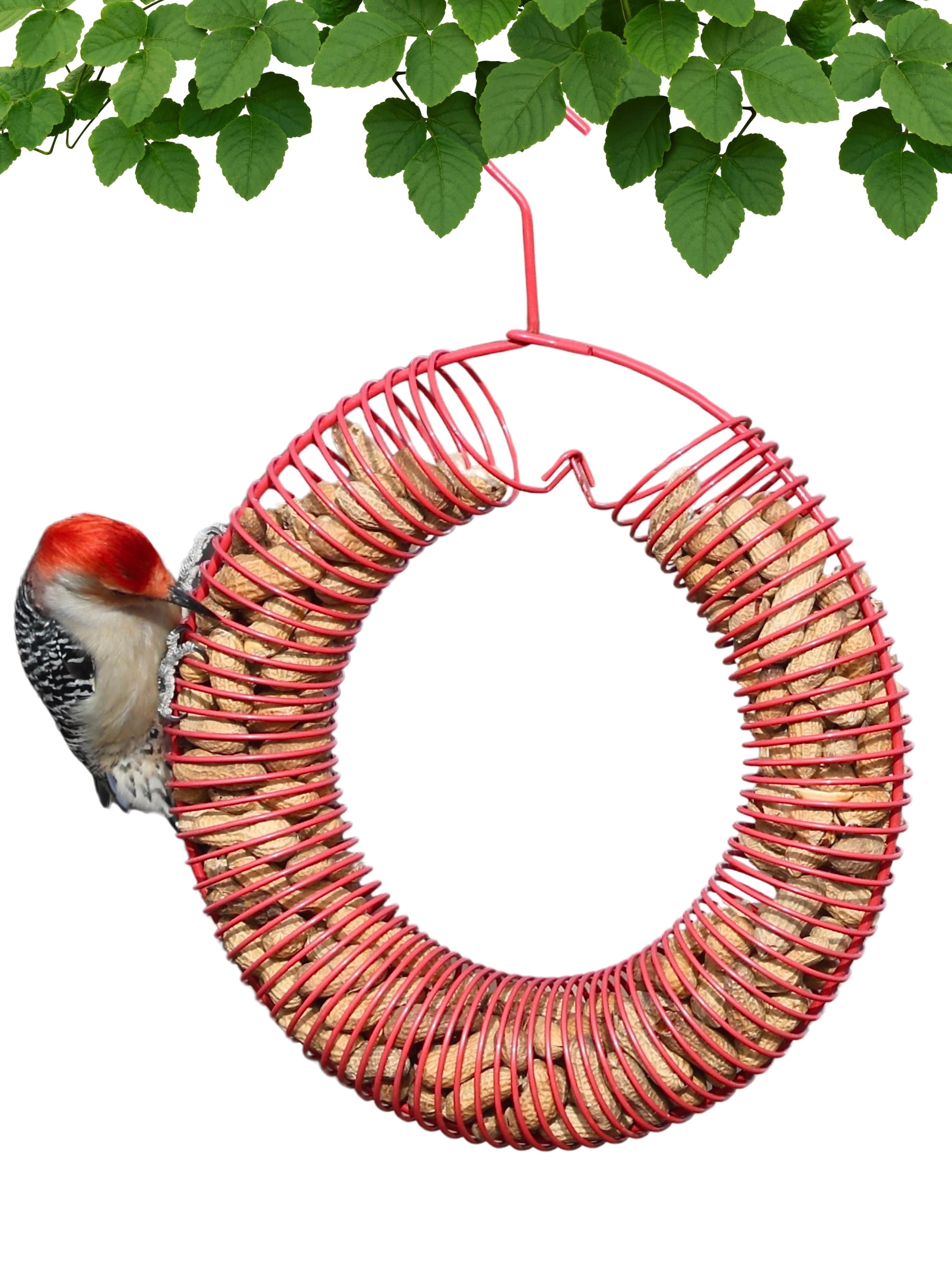 Songbird Essentials Bird Feeder Squirrel Feeder Whole Peanuts Wreath Red