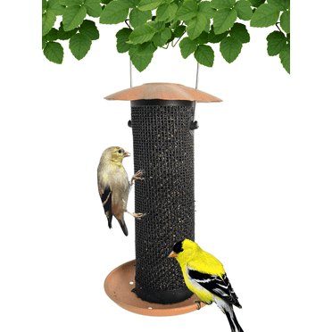 Songbird Essentials Bird Feeder Thistle Bird Seed Finch Feeder, Copper