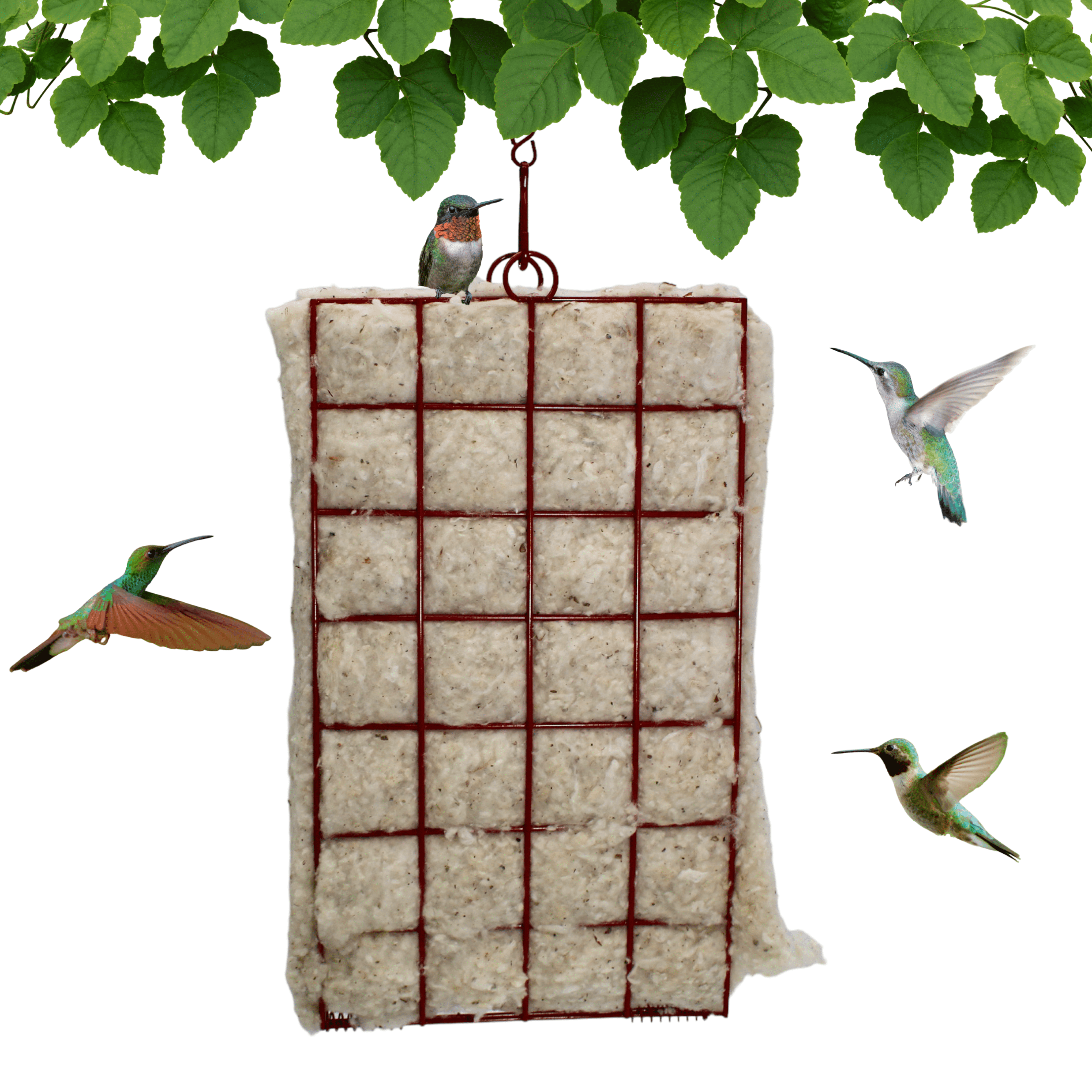 Songbird Essentials Bird House Bird Nesting Material Holder, Hummer