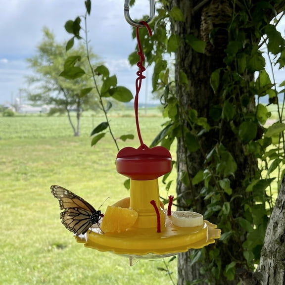 Songbird Essentials Butterfly and Hummingbird Feeder with Nectar