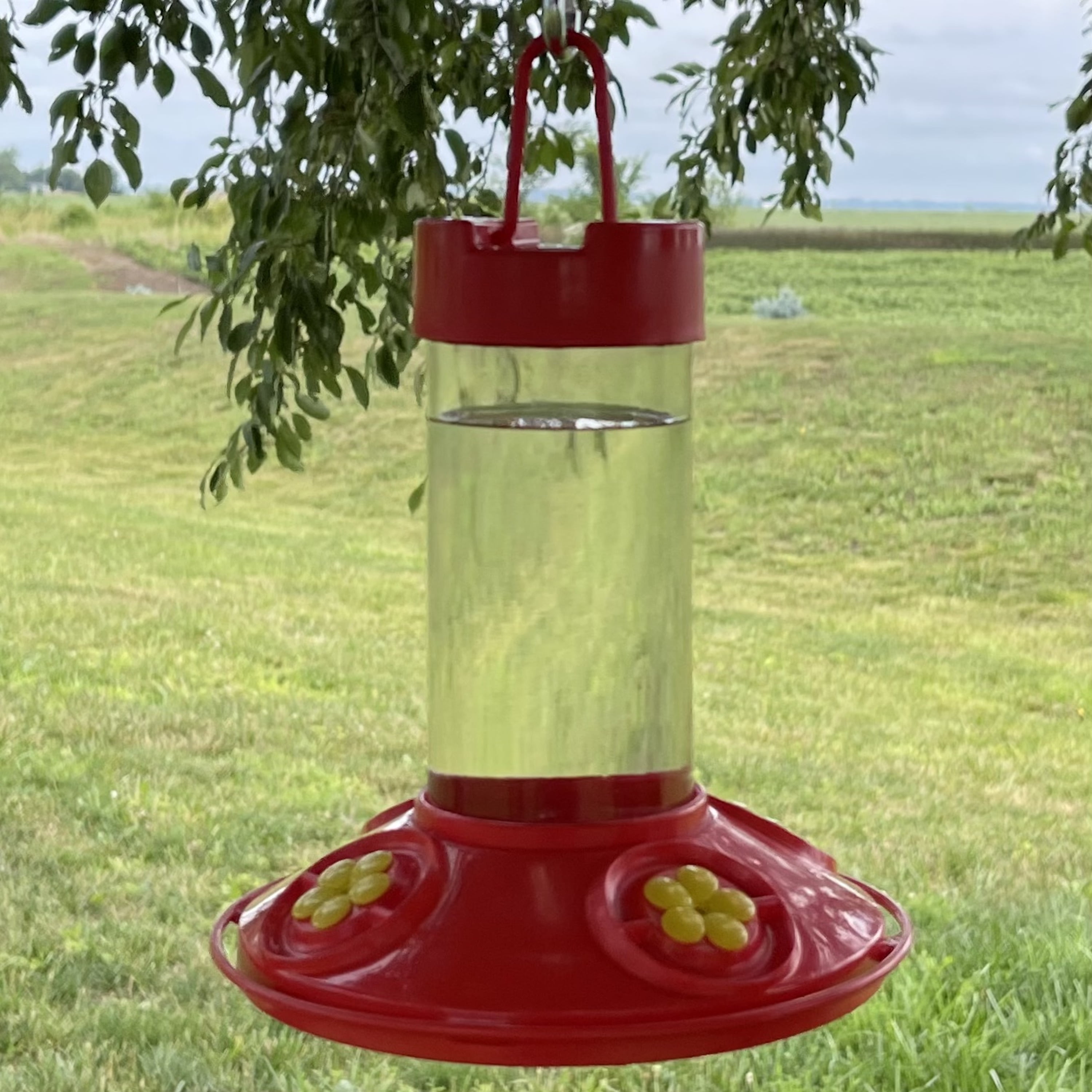 Songbird Essentials Dr JB's Hummingbird Feeder 16 oz. Red and Yellow