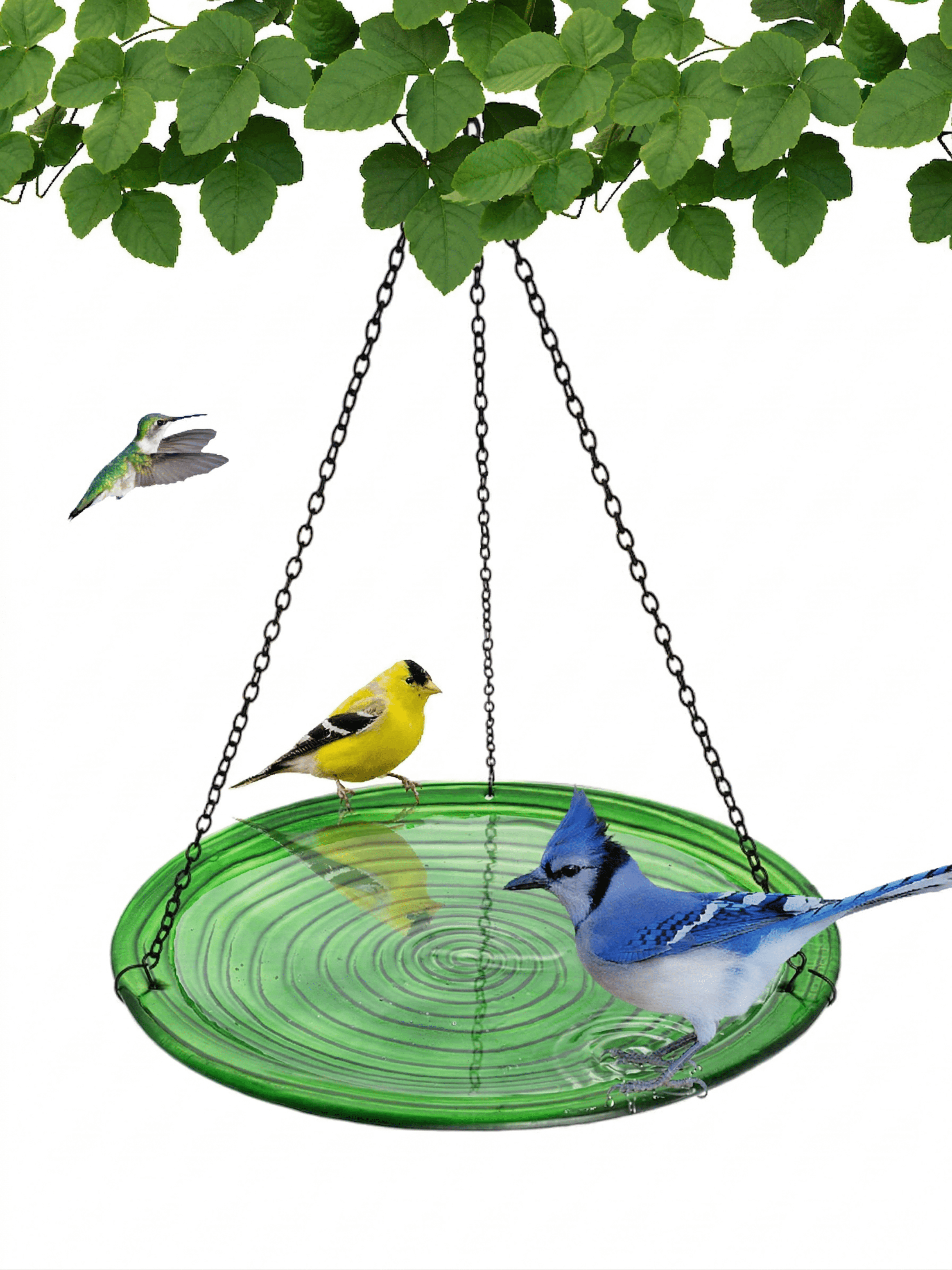 Songbird Essentials Glass Embossed Bird Bath, Hanging Birdbath Hunter Green, 13in Round
