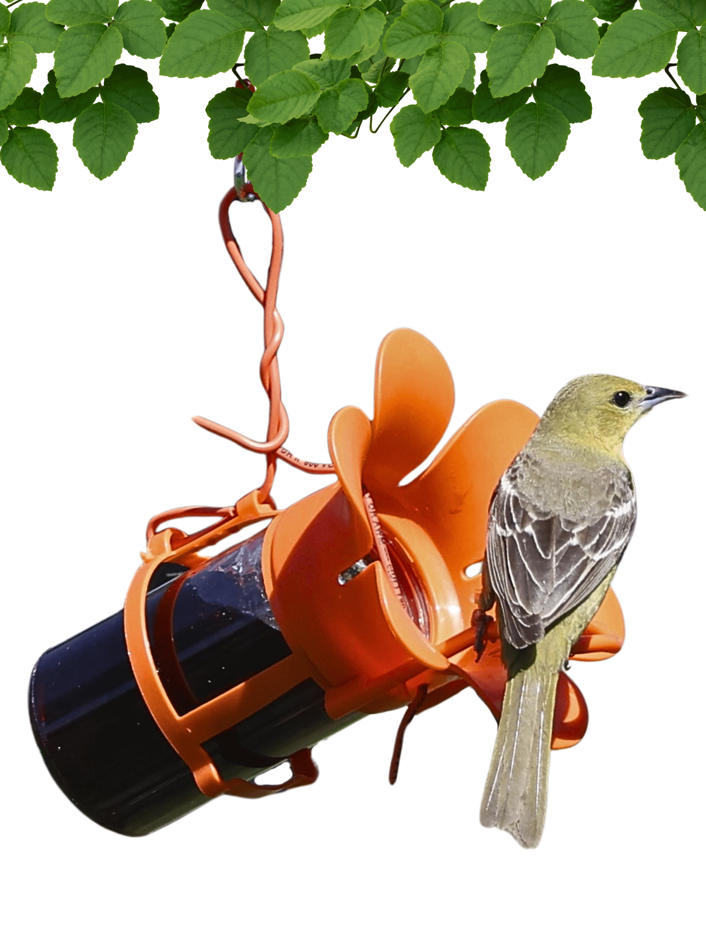 Orange Flower Blossom Hanging Jelly Bird Feeder
