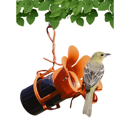 Songbird Essentials Grape Jelly Oriole Feeder, Fits Most 10-12oz Jelly Jars, Orange Plastic Bird Feeder