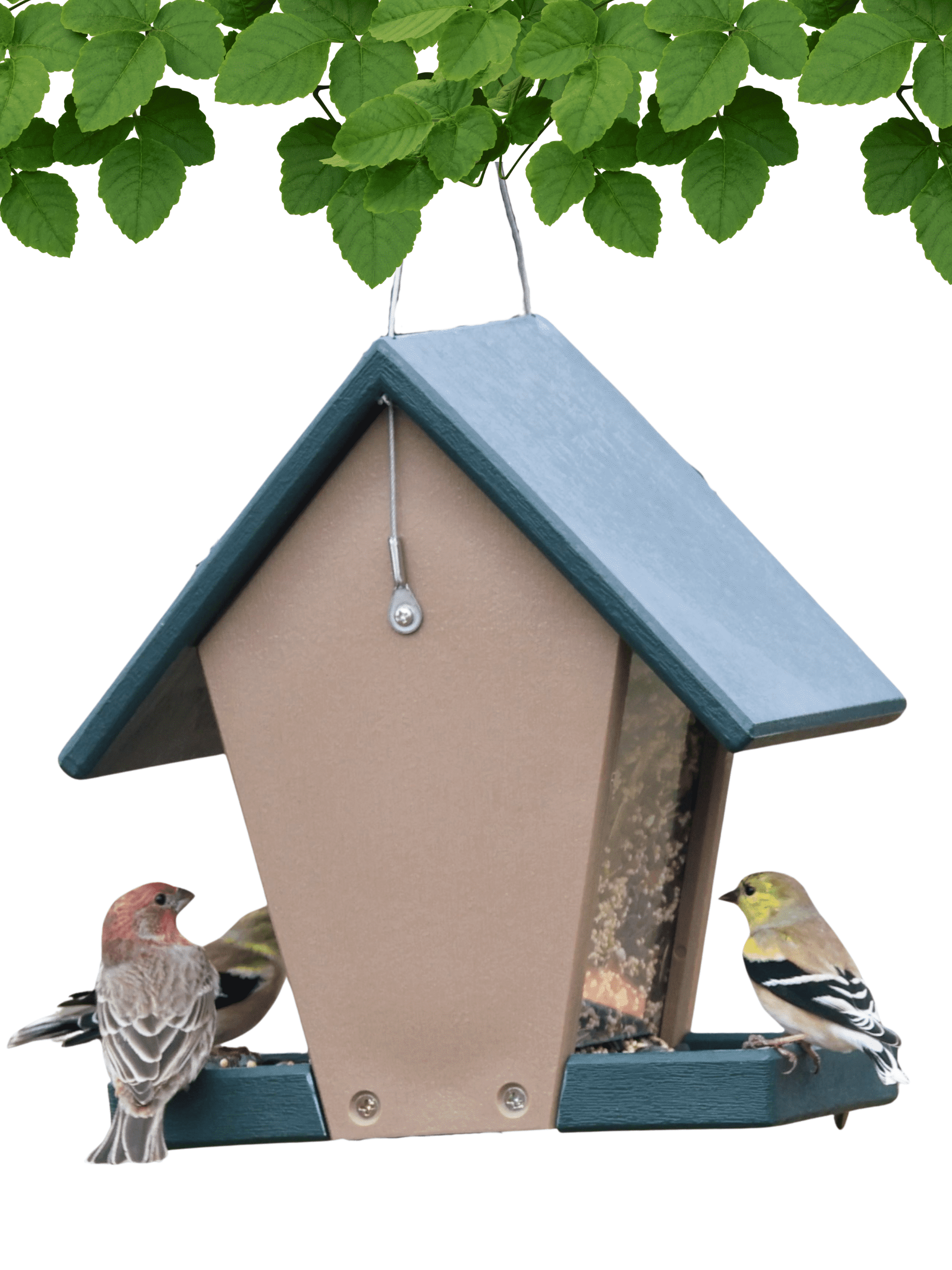 Songbird Essentials Hopper Feeder Recycled Plastic Wild Bird Feeder for Bird Seed, 6 Cup Capacity