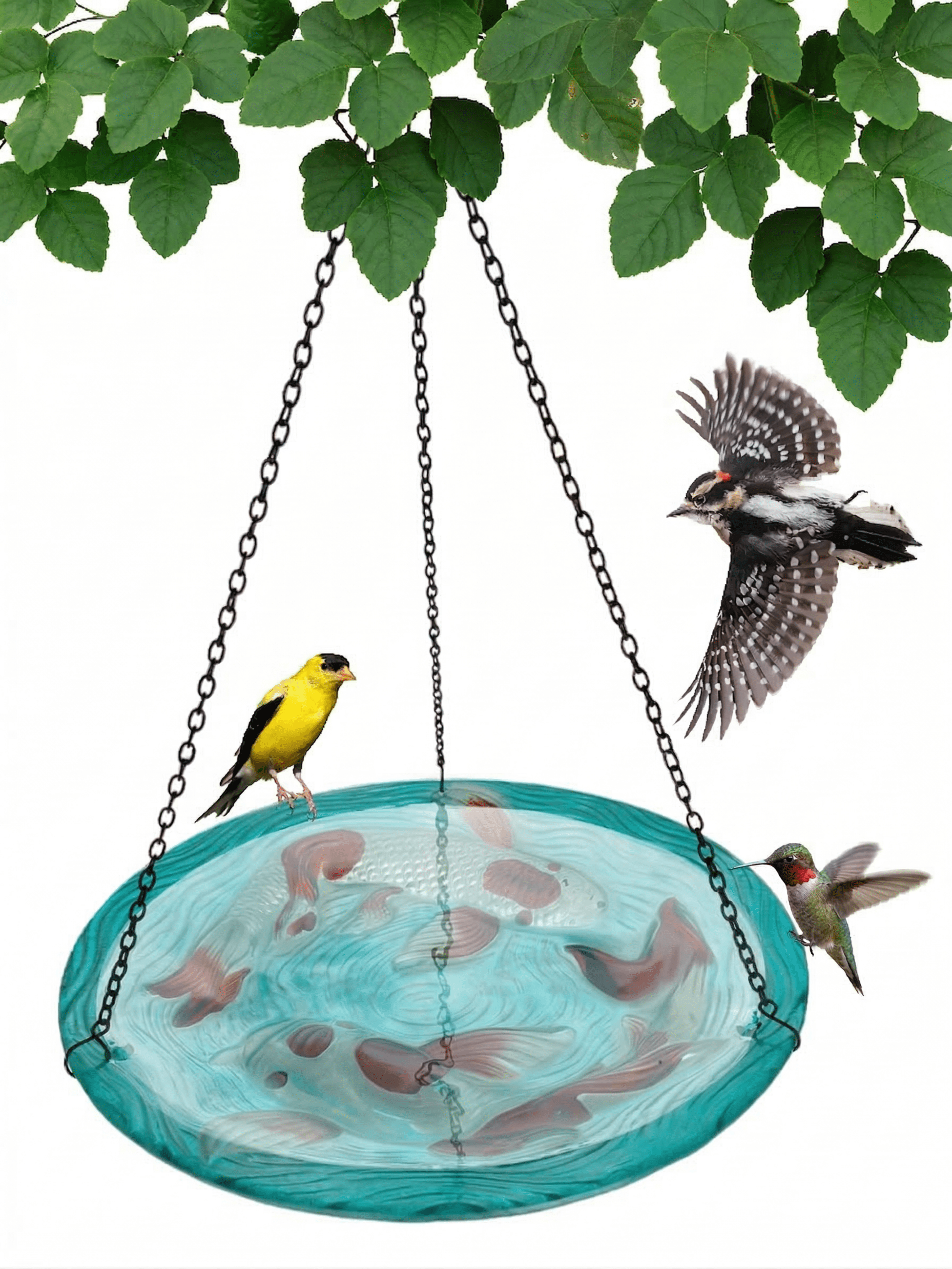 Songbird Essentials Outdoor Bird Bath, Hanging Glass Birdbath, Koi Pond 13in Round