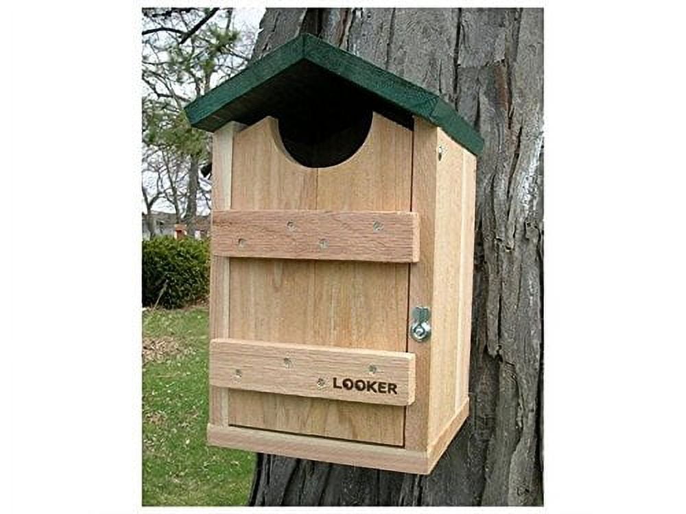 Natural Cedar Screech Owl and Kestrel House with Green Roof