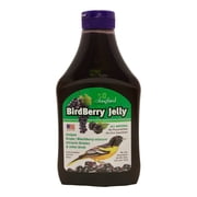 Songbird Essentials SE6010 Bird Jelly, Berry, 20-oz. - Quantity 1