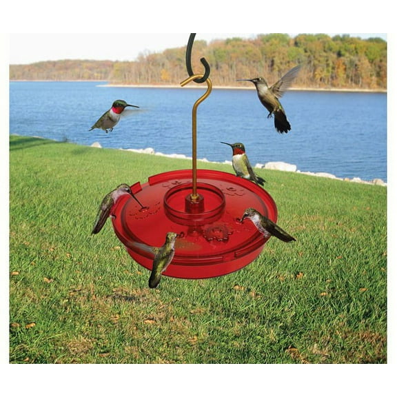 Songbird Essentials SE996 Hummingbird Haven