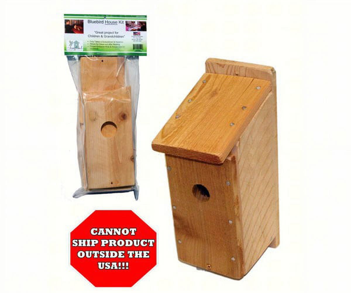 Cedar Wood DIY Bluebird House Kit for Kids