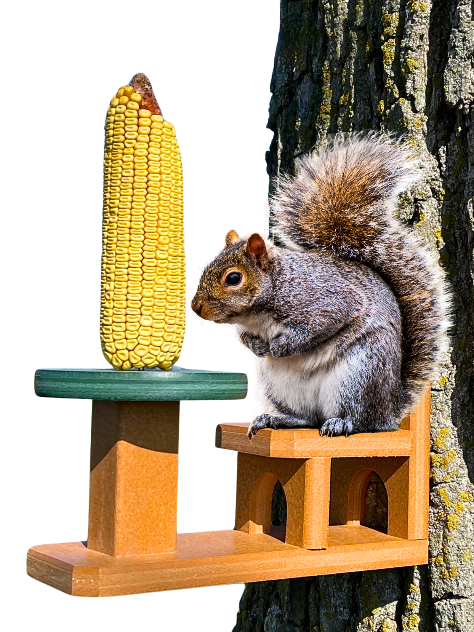 Songbird Essentials Squirrel Feeder Corn on the Cob Feeder Recycled