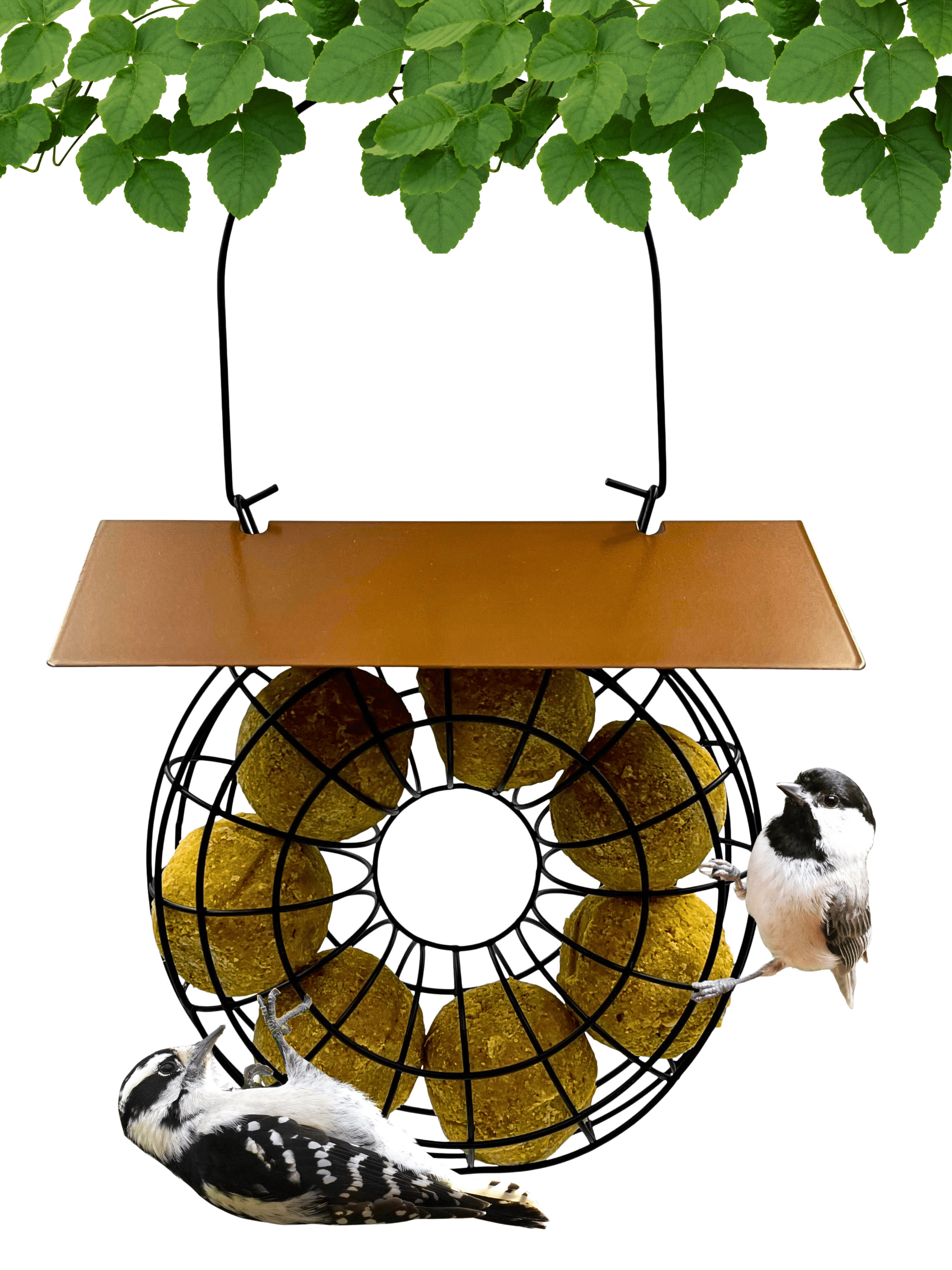 Songbird Essentials Suet Feeder for Suet Balls Metal Hanging Bird Feeder, 6 Suet Ball Capacity Copper