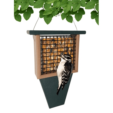 Songbird Essentials Suet Feeder with Tail Prop Recycled Plastic Hunter Green and Driftwood, 1 Suet Cake Capacity