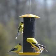 Songbird Essentials Thistle Bird Feeder Yellow Bird Seed Finch Feeder, 1/2 lb. Capacity