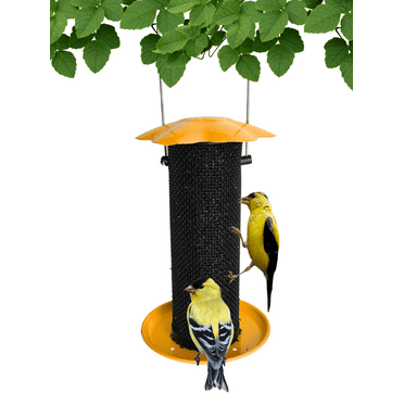 Songbird Essentials Thistle Bird Feeder Yellow Bird Seed Finch Feeder, 1/2 lb. Capacity