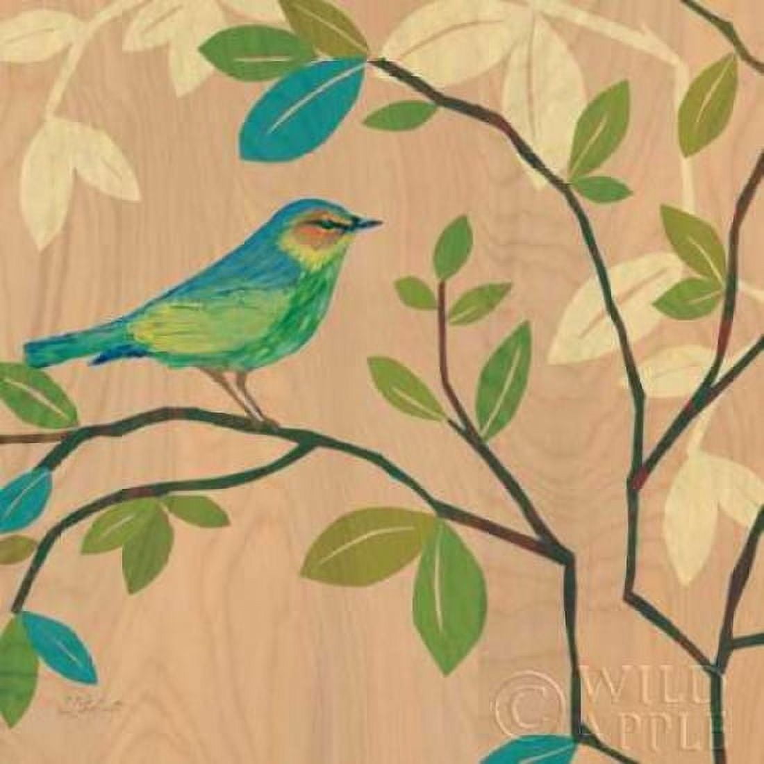 Songbird III Canvas Art - D Salusti (24 x 24)