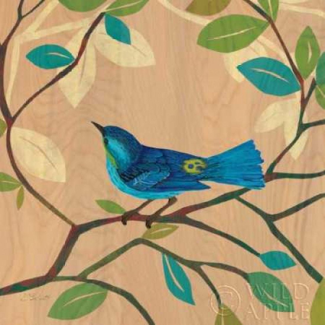 Songbird IV Canvas Art - D Salusti (24 x 24)