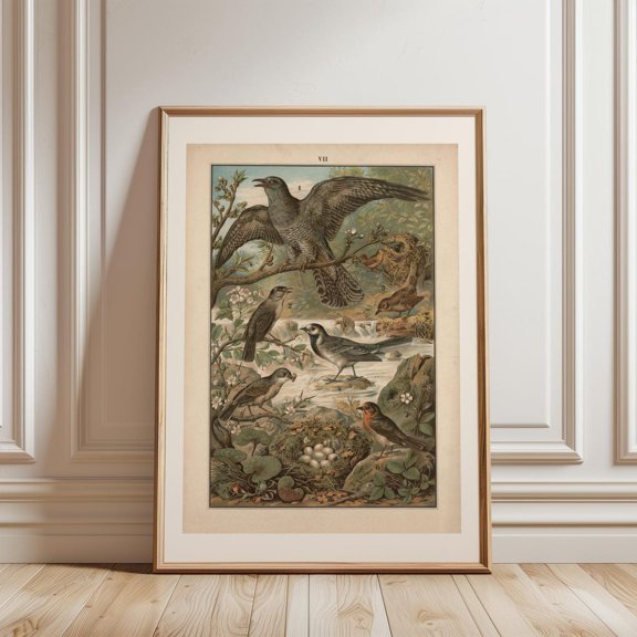 Songbird Nesting Garden Bird Egg Wall Decor Unframed Paper Print