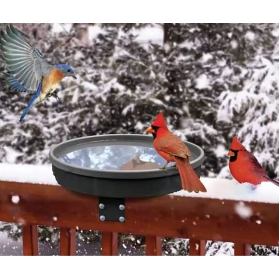 Songbird Spa Heated Birdbath