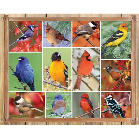 Springbok's 100 Piece Jigsaw Puzzle Songbirds
