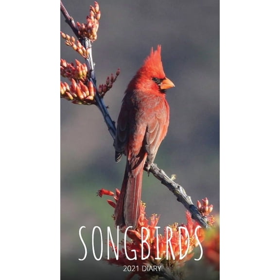 Songbirds 2021 Diary: Slim Pocket Calendar, Week to View, Monthly Planner, Date Book Notepad with Holidays Contacts Pass, (Paperback)