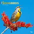 thumbnail image 1 of Songbirds | 2026 12x24" (Hanging) Square Wall Calendar | Plastic-Free, 1 of 9