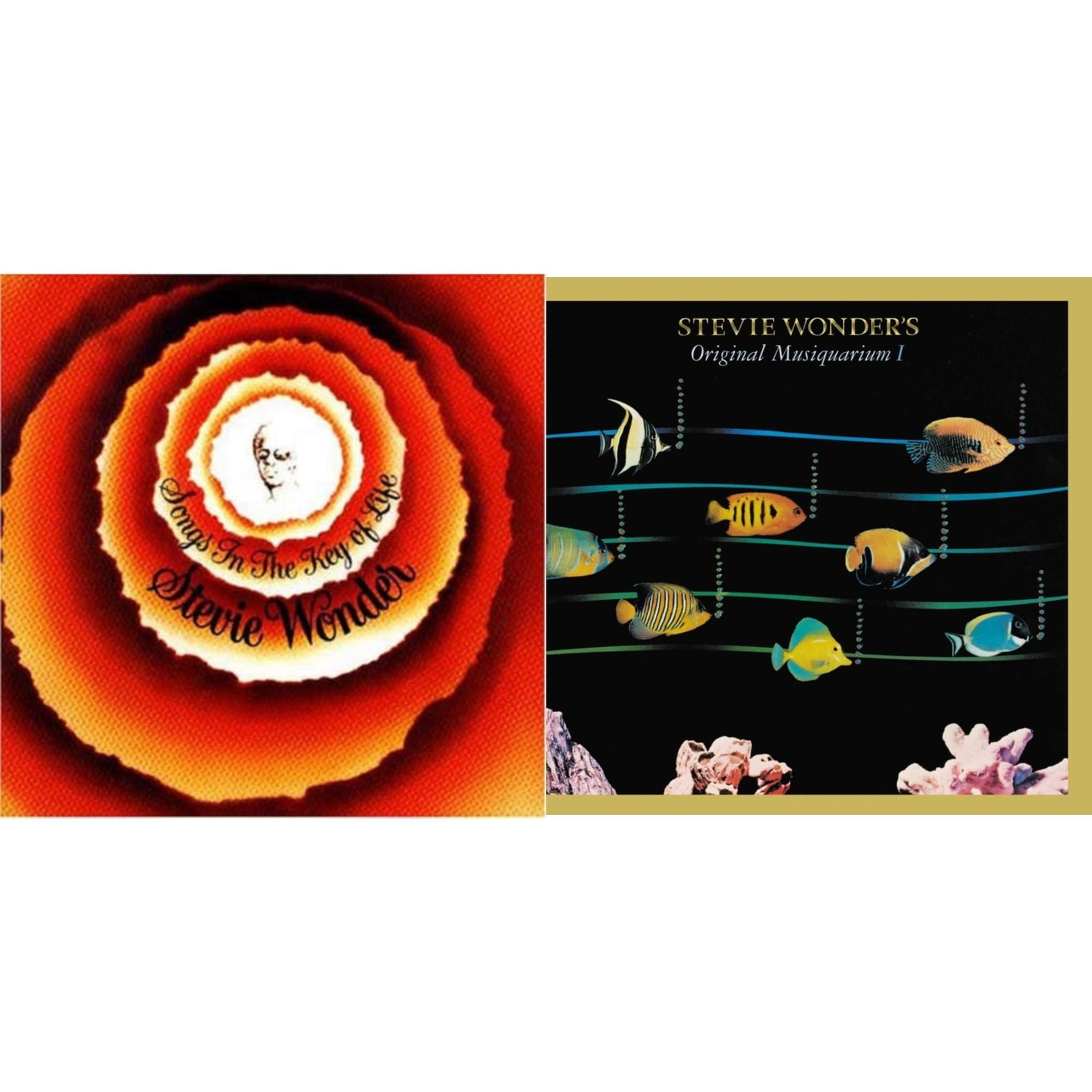 Stevie Wonder Vinyl Records - Walmart.com
