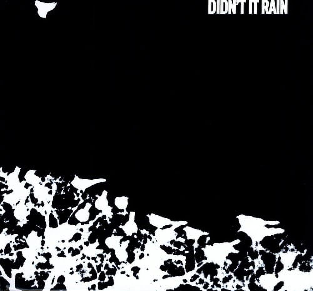 Songs Ohia Didn't It Rain Music & Performance Vinyl