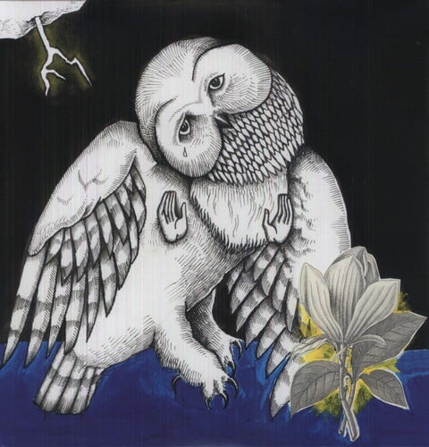 Songs: Ohia - Magnolia Electric Company Co - Music & Performance - Vinyl