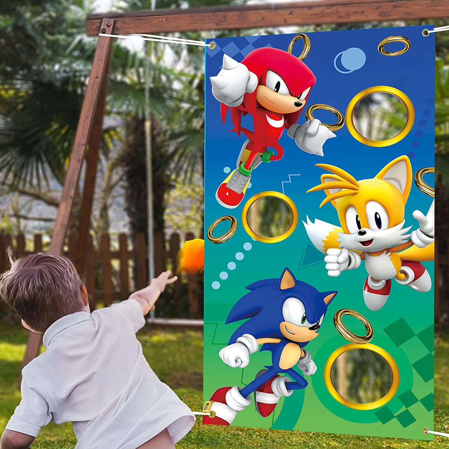 SONIC the Hedgehog Kids Birthday Party BEAN BAG Toss Game 