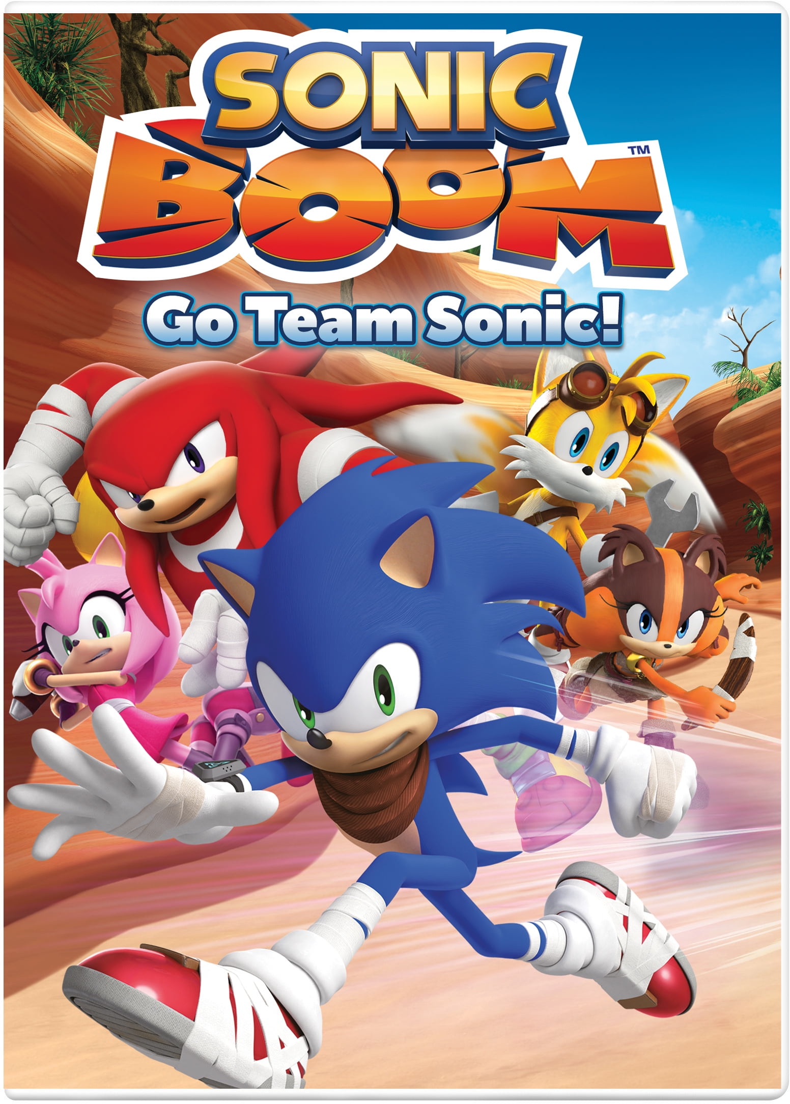 NCIRCLE ENTERTAINMENT Sonic Boom: Go Team Sonic!