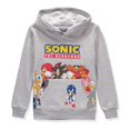 thumbnail image 1 of Sonic Boys 4-20 Long Sleeve Sonic and Friends Hooded Sweatshirt(Grey 18/20), 1 of 1