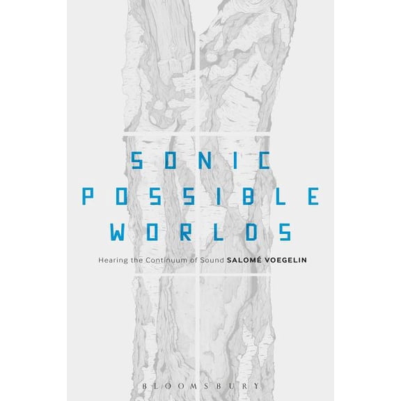 Sonic Possible Worlds: Hearing the Continuum of Sound, (Paperback)
