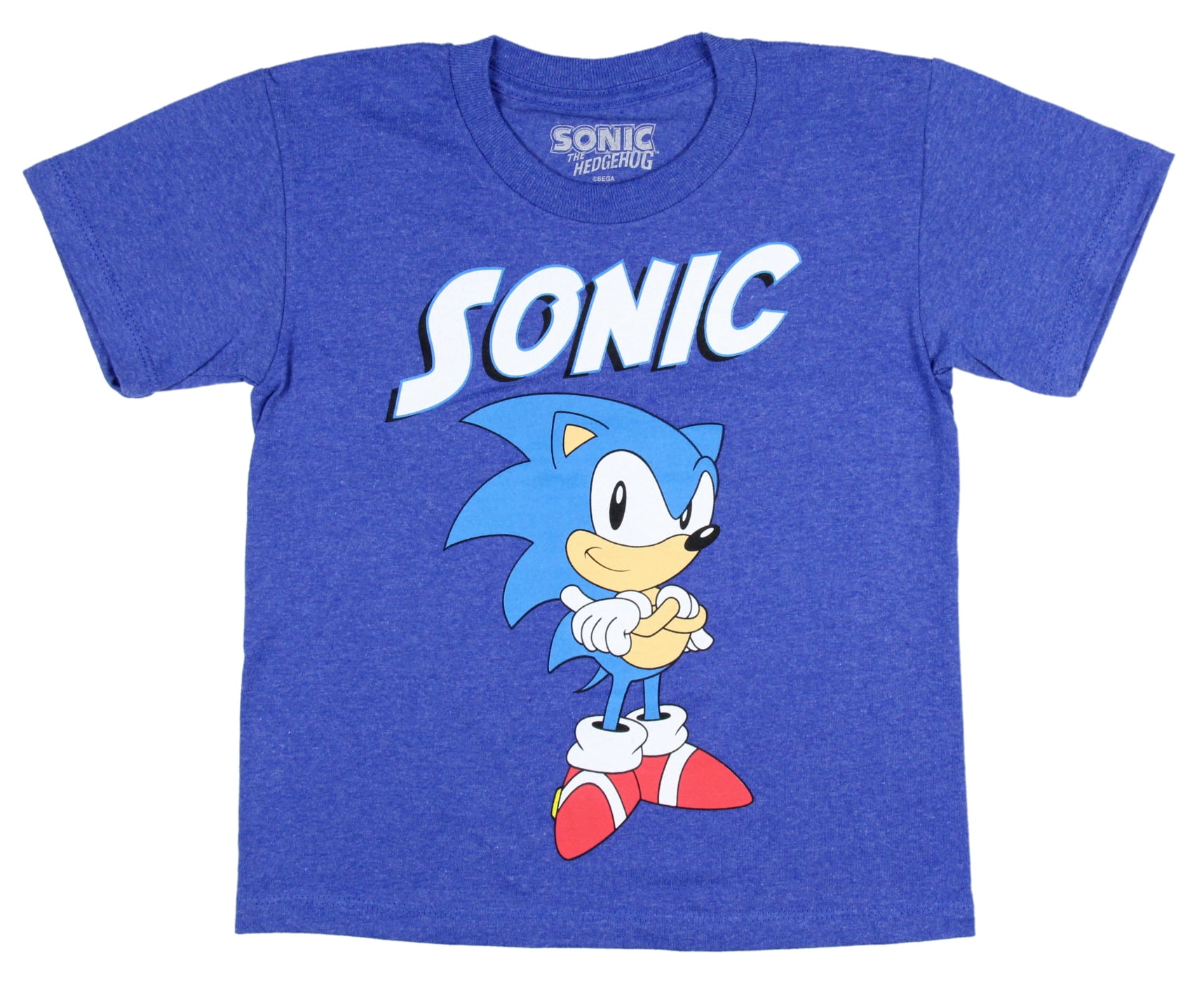 Sonic The Hedgehog Boy's Sonic Folded Arms Stance T-shirt, Large ...