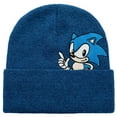thumbnail image 1 of Sonic The Hedgehog Peekaboo Design Knit Beanie, 1 of 3