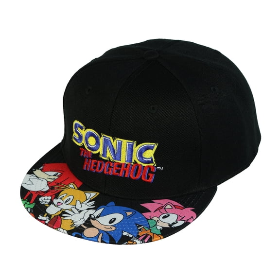 Sonic The Hedgehog Snapback Hat Character Design Flat Brim Embroidered Cap OSFM