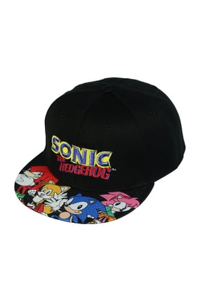 Sonic The Hedgehog Snapback Hat Character Design Flat Brim Embroidered Cap OSFM