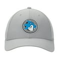 thumbnail image 1 of Sonic The Hedgehog Sonic Head Adult Gray Traditional Adjustable Hat, 1 of 6