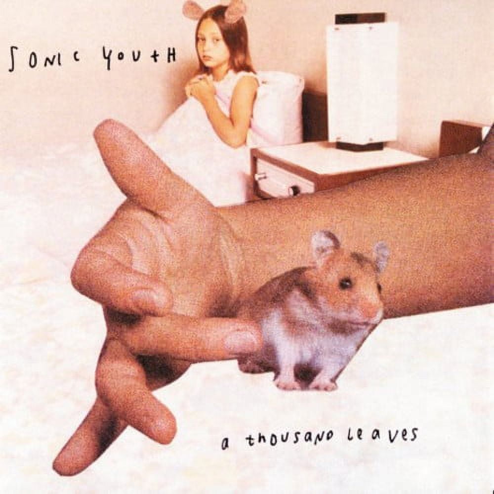 Sonic Youth - A Thousand Leaves - Music & Performance - Vinyl