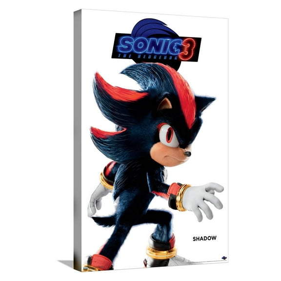 Sonic the Hedgehog 3 - Shadow Feature Series Canvas Wall Poster, 14.725" x 22.375"